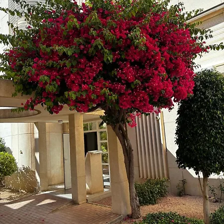 Appartement Beachfront With Sea Views, Pool, Parking